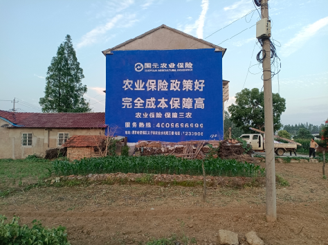 屏山墙体广告的优劣势你知道吗？